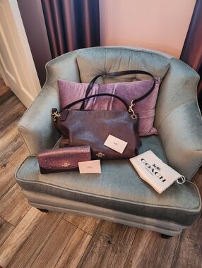 Coach Hand Bag and Glitter Wallet in Rose